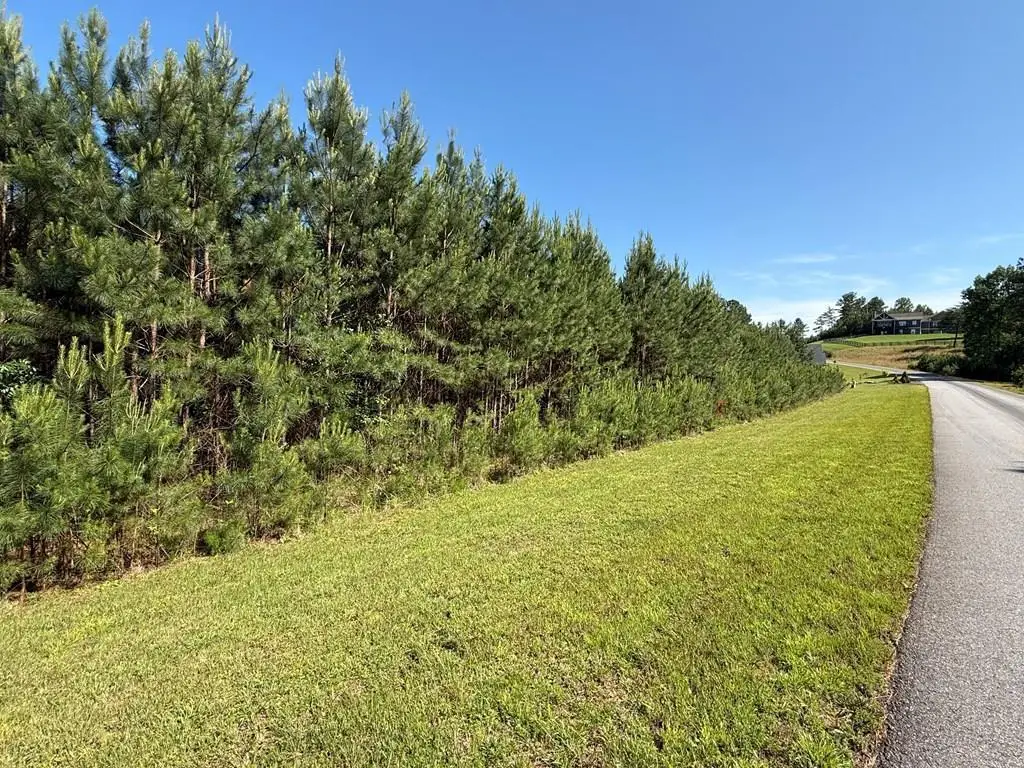 Lot 228 The Cove @ 1300, Blairsville, GA 30512 - #1