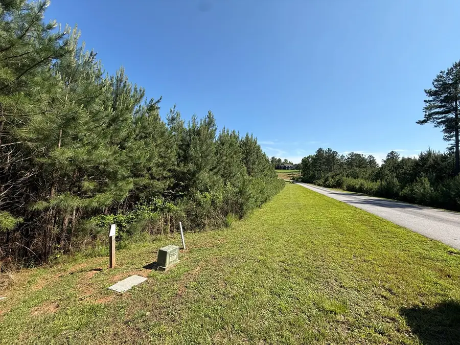 Lot 228 The Cove @ 1300, Blairsville, GA 30512 - #3