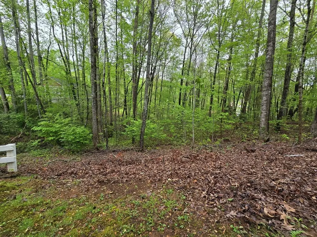 Lot 69 Chatuge Village, Hayesville, NC 28904 - #1