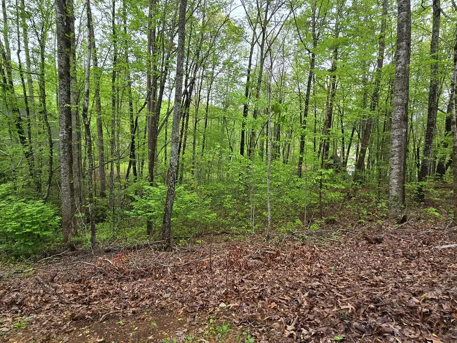 Lot 69 Chatuge Village, Hayesville, NC 28904 - #2