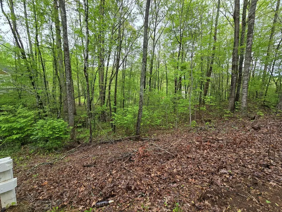 Lot 69 Chatuge Village, Hayesville, NC 28904 - #3
