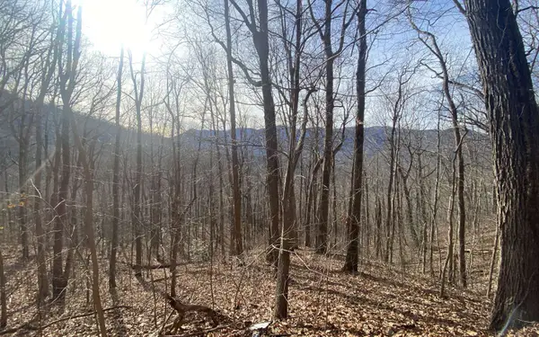 TR. 1 Caesar Gap Road, Hiawassee, GA 30546