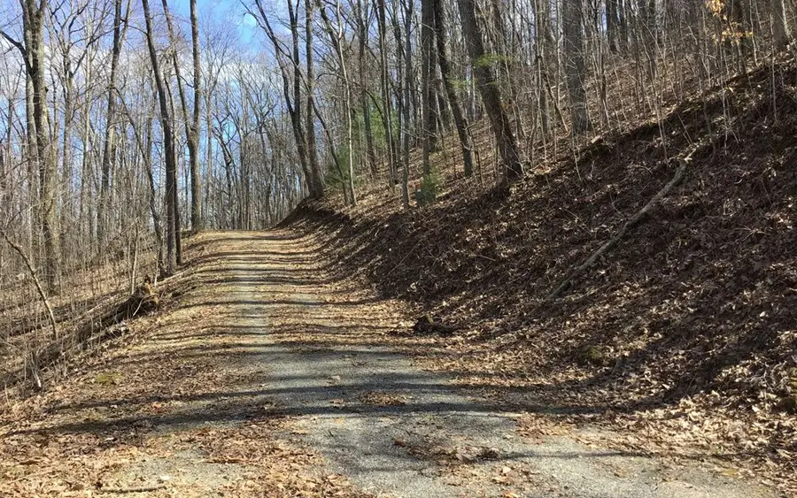 #61 Shiloh, Hayesville, NC 28904 - Image #3