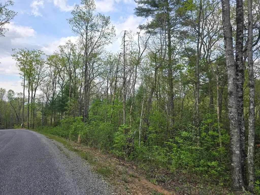 Lot 10 Kennedys Court, Blairsville, GA 30512 - #1