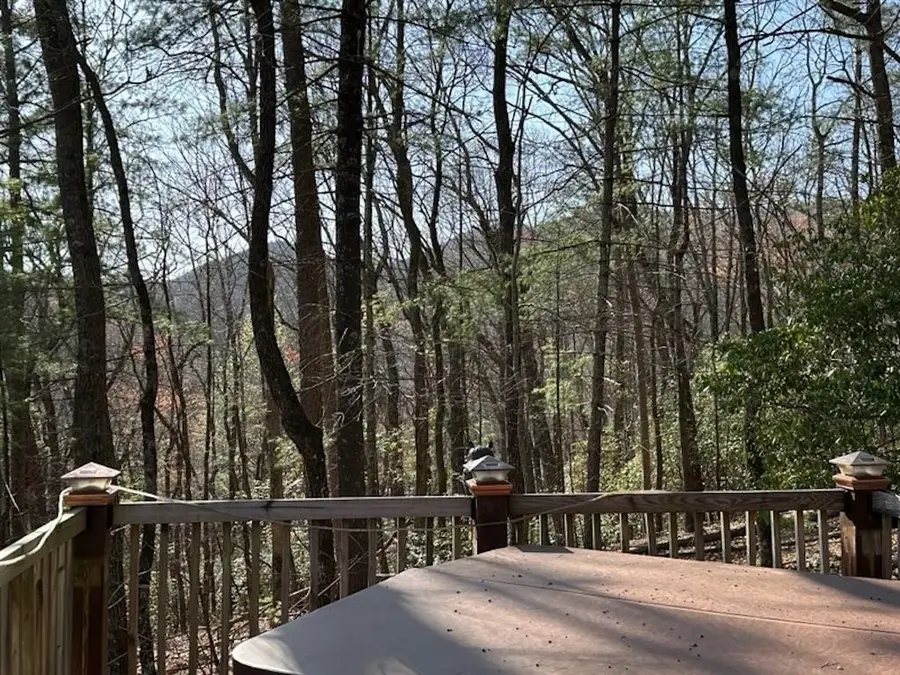 191 Mountain View Road, Ellijay, GA 30540 - Image #2