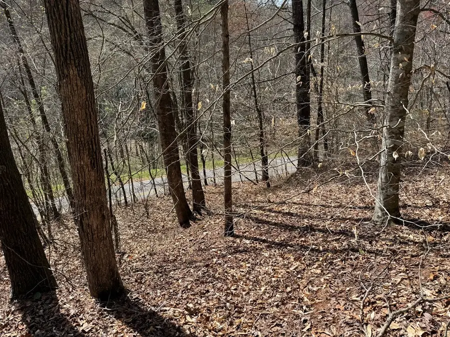 0 Morrow Road, Murphy, NC 28906 - Image #3