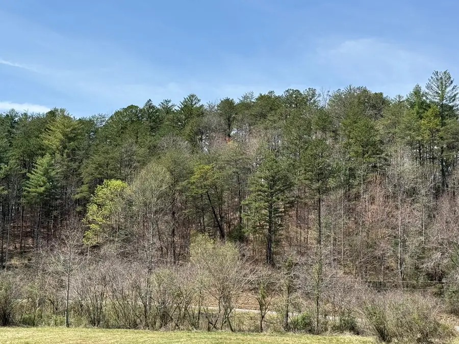 0 Morrow Road, Murphy, NC 28906 - Image #3