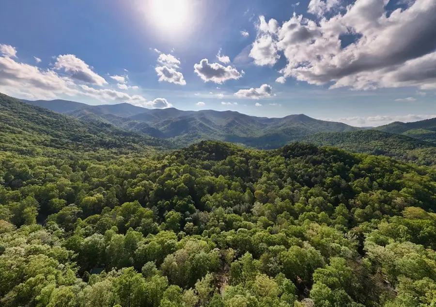 Tract 16 Quinn Cove Road, Hiawassee, GA 30546 - #2