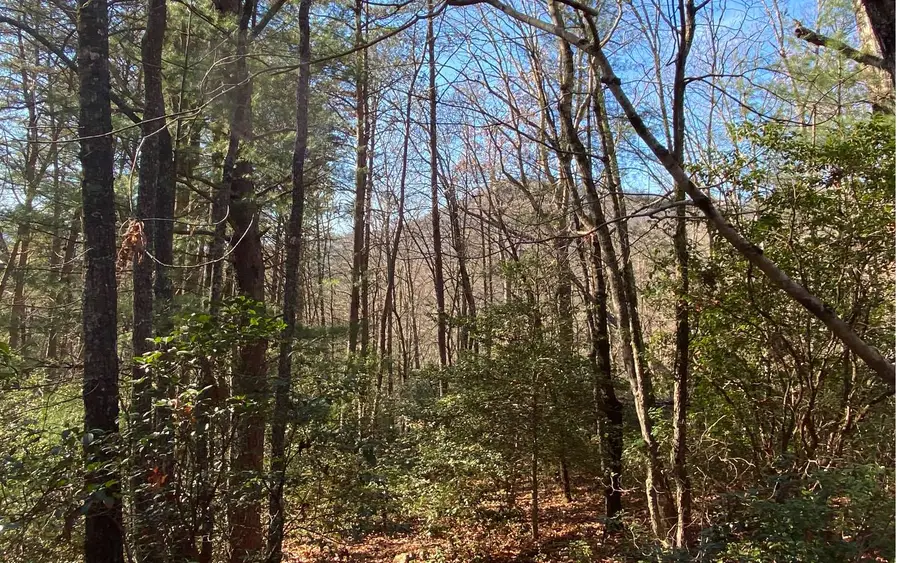 Tract 1A Barefoot Hill 1a, Hiawassee, GA 30546 - Image #3