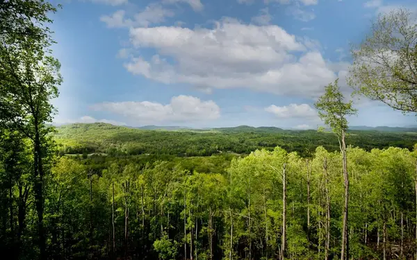 Lot 25 Scouts Overlook, Morganton, GA 30560