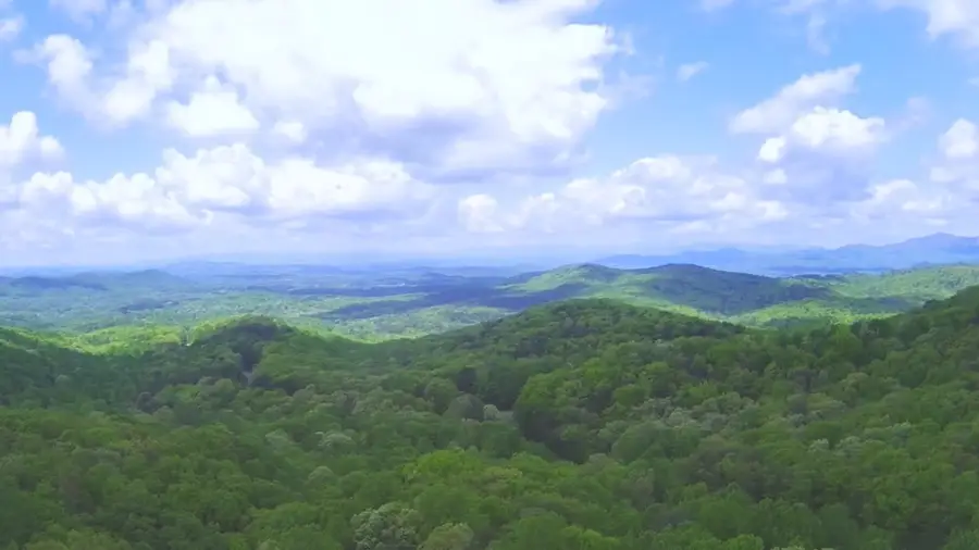 137 St Andrews Way, Ellijay, GA 30540 - Image #2