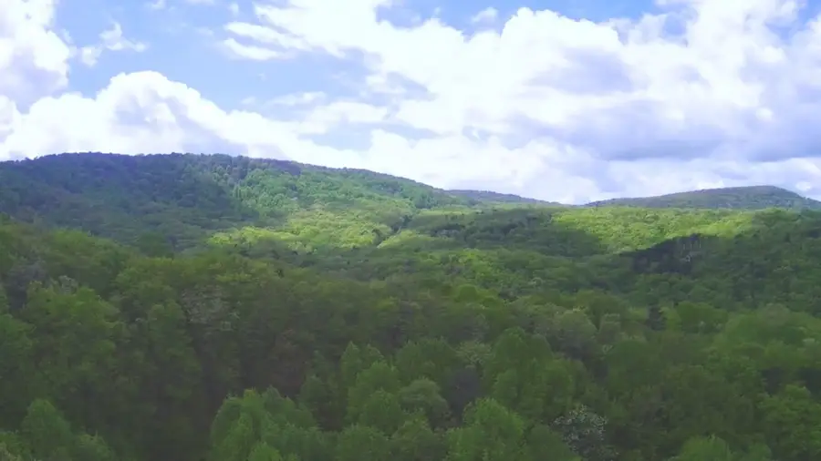 137 St Andrews Way, Ellijay, GA 30540 - Image #3