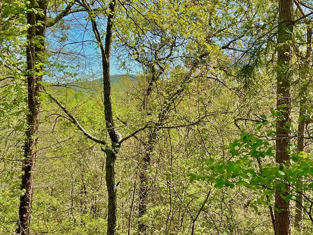 694 Railey Ridge, Ranger, GA 30734 - Image #1