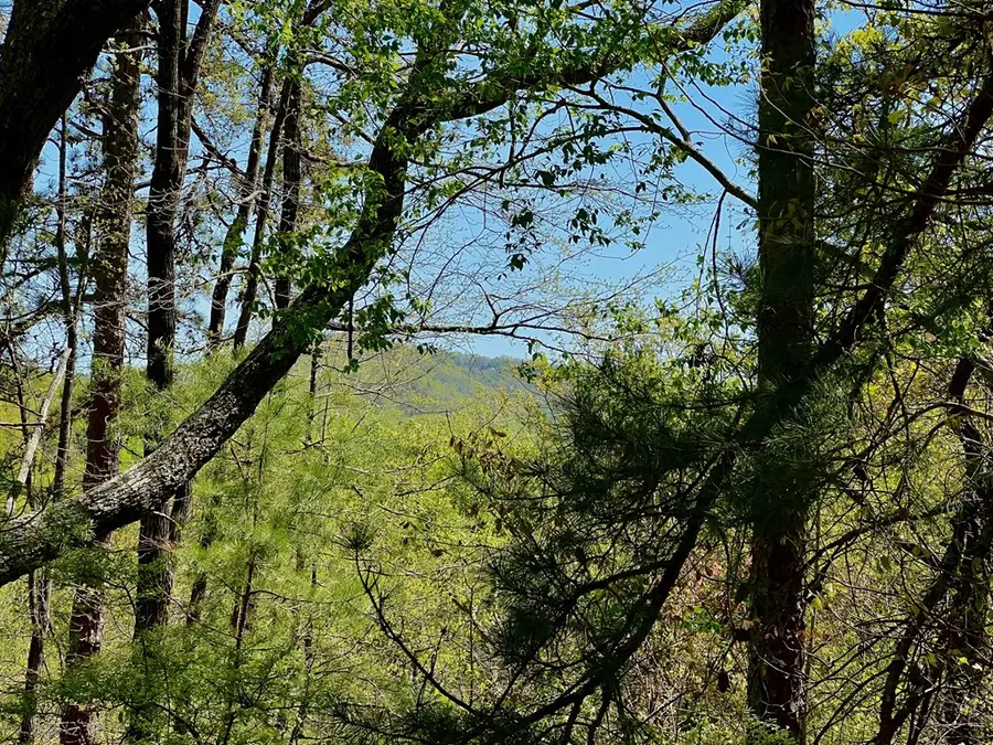 694 Railey Ridge, Ranger, GA 30734 - Image #2