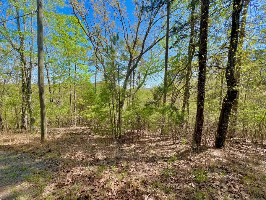 694 Railey Ridge, Ranger, GA 30734 - Image #3