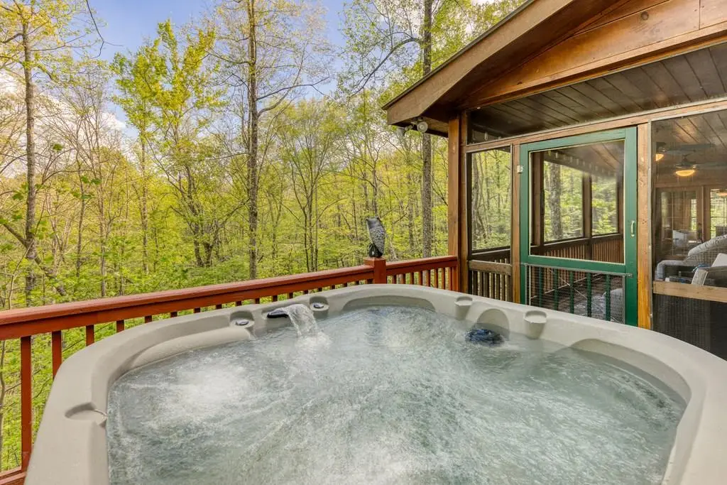 688 Little Bushy Head Road, North Gilmer, GA 30513 - #1