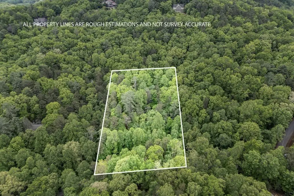 Lot 17 Lower Gap Road, Sautee Nacoochee, GA 30571 - Image #1