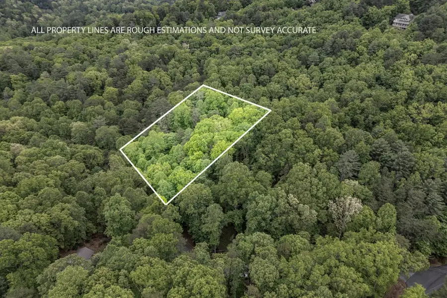 Lot 17 Lower Gap Road, Sautee Nacoochee, GA 30571 - Image #2