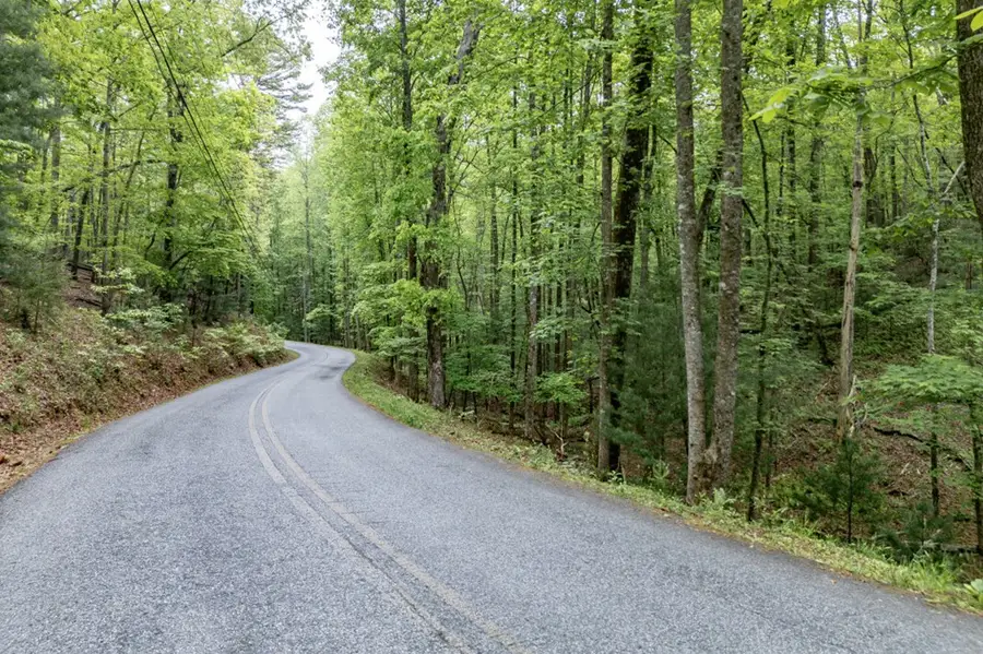 Lot 17 Lower Gap Road, Sautee Nacoochee, GA 30571 - Image #3