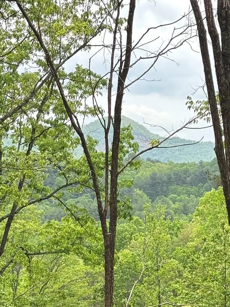 Lot 4-25 Sahkanaga Drive, Murphy, NC 28906 - Image #3