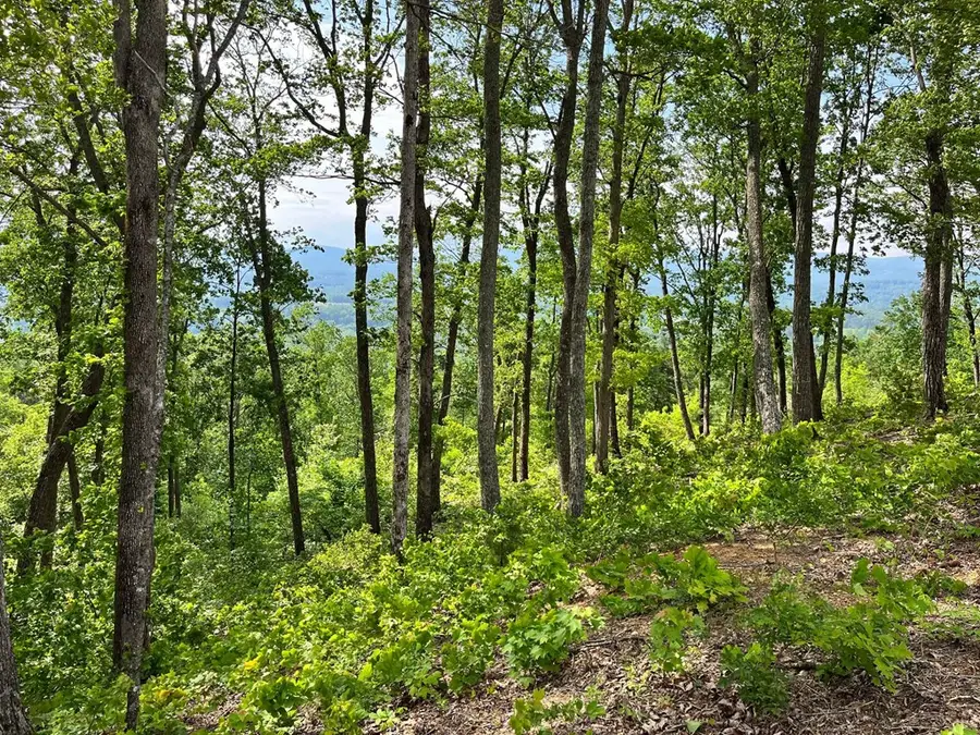 Lot 103 Highland Park Iii, Blairsville, GA 30512 - Image #3