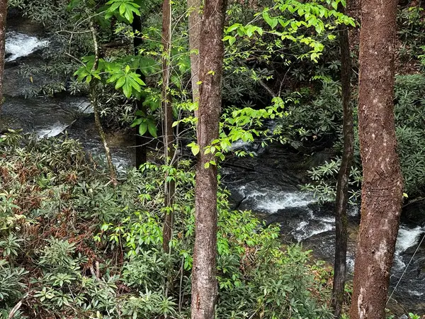 122 Laurel Creek Trail, Blue Ridge, GA 30513