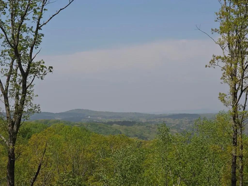 Lot 105 Twisted Oak Road, Talking Rock, GA 30175 - Image #1