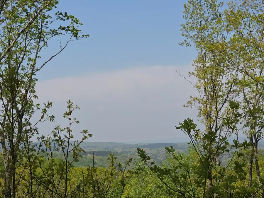 Lot 105 Twisted Oak Road, Talking Rock, GA 30175 - Image #3