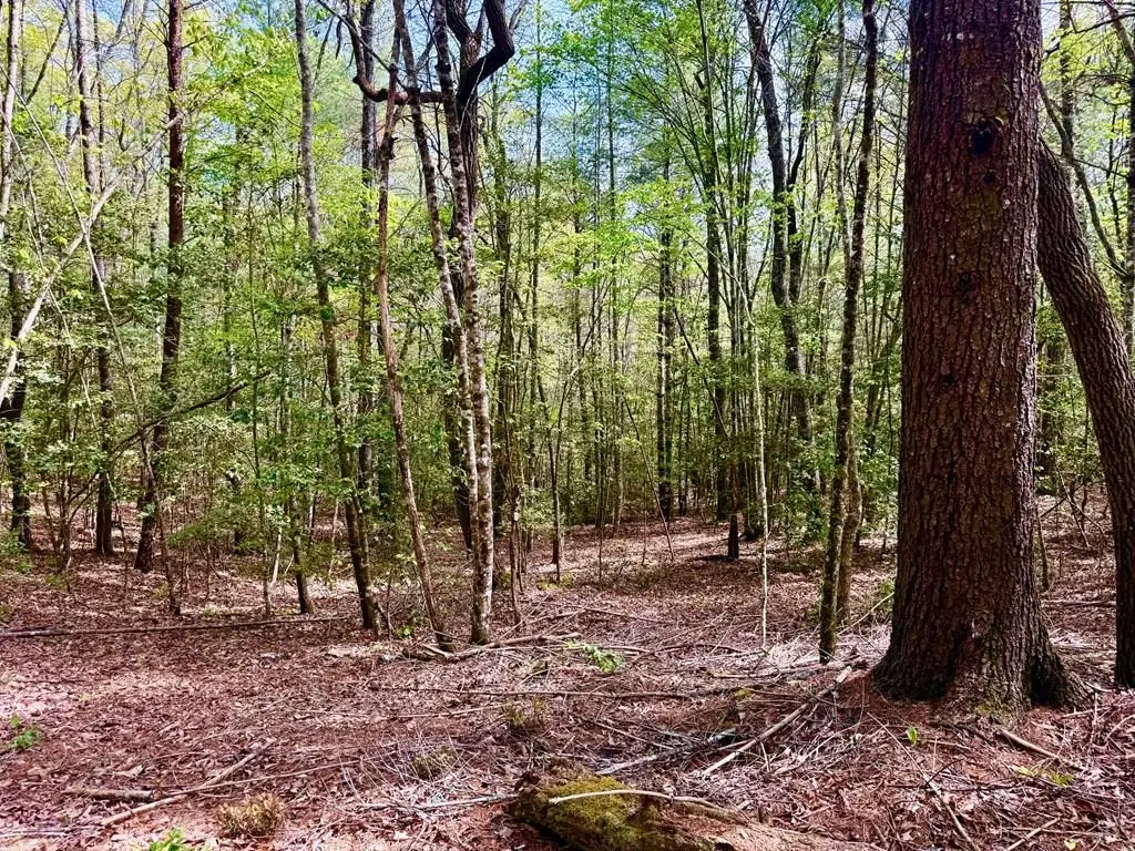 59 Rainy Farm Road, Murphy, NC 28906 - Image #1