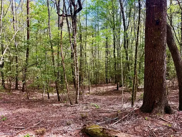 59 Rainy Farm Road, Murphy, NC 28906