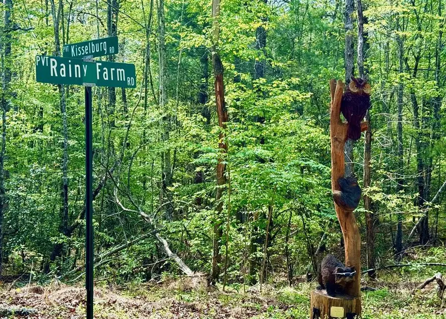 59 Rainy Farm Road, Murphy, NC 28906 - Image #2