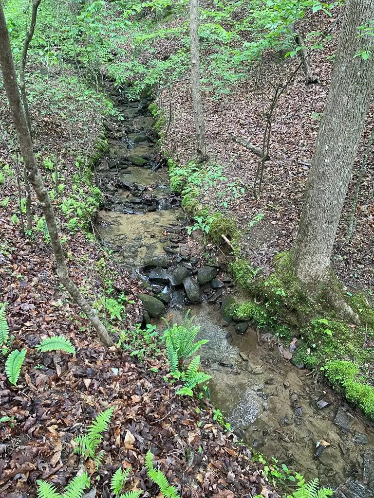 Lot 127 Water Oak Drive, Ellijay, GA 30540 - Image #2