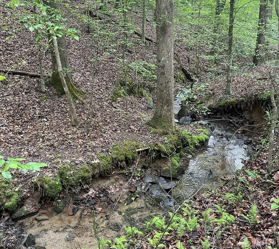 Lot 127 Water Oak Drive, Ellijay, GA 30540 - Image #3