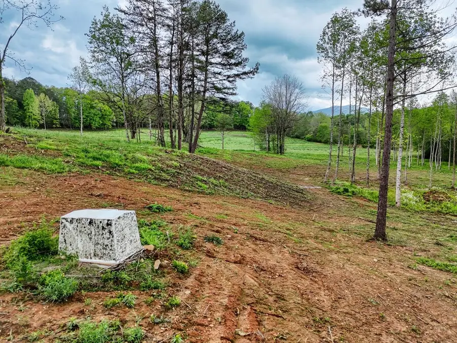 Tract II Shuler Road, Blairsville, GA 30512 - Image #2
