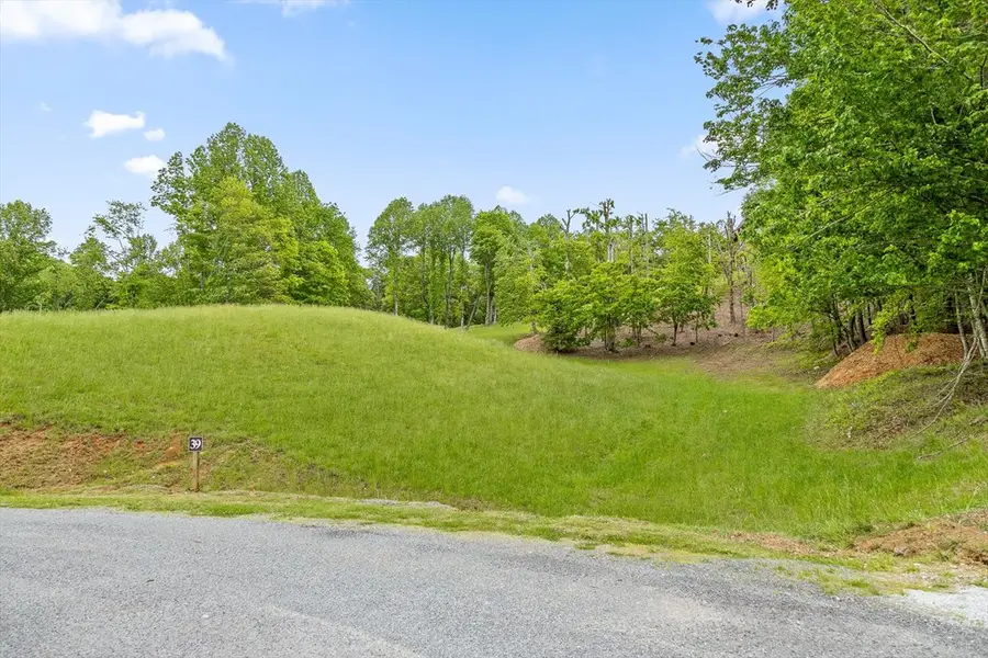 Lot 39 Big Valley Overlook, Morganton, GA 30512 - Image #2