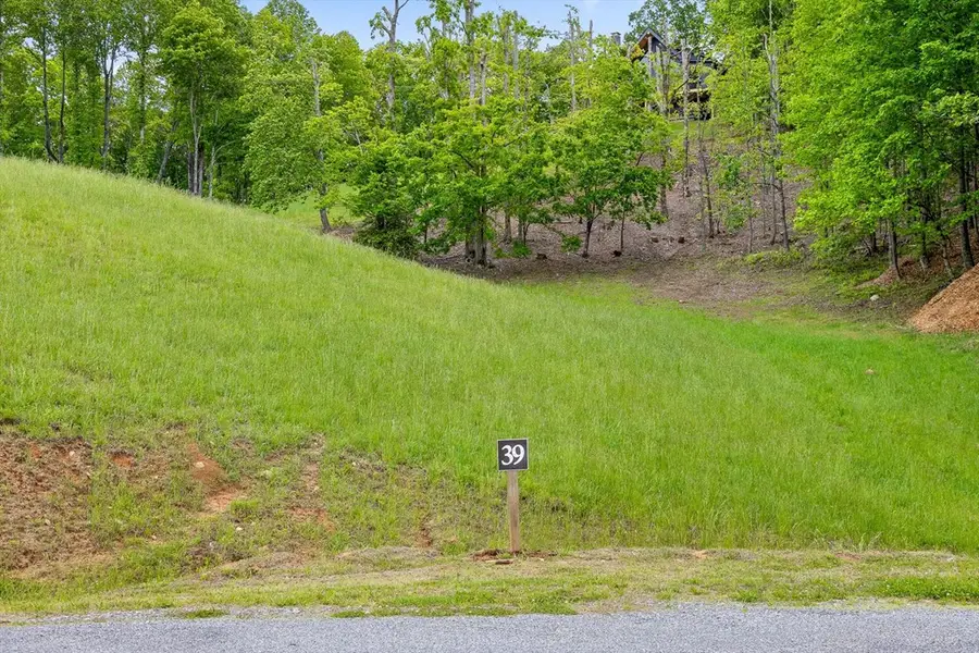 Lot 39 Big Valley Overlook, Morganton, GA 30512 - Image #3
