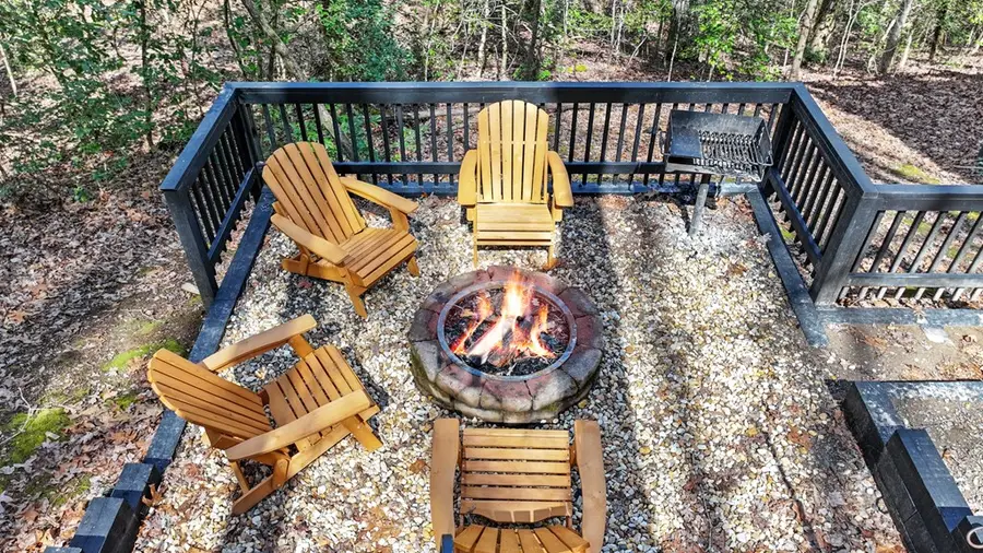 222 Icy Lane, Blue Ridge, GA 30513 - Image #3