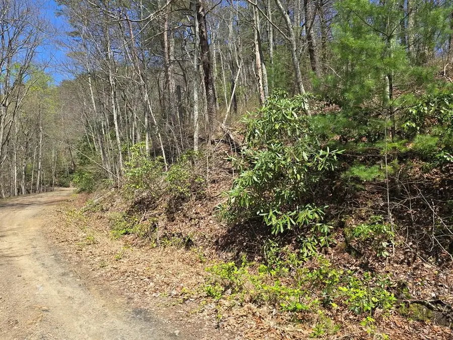 Trk 1&2 Kimsey Mountain Hwy, Turtletown, TN 37391 - #2