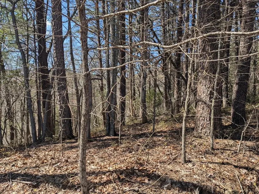 Trk 1&2 Kimsey Mountain Hwy, Turtletown, TN 37391 - #3