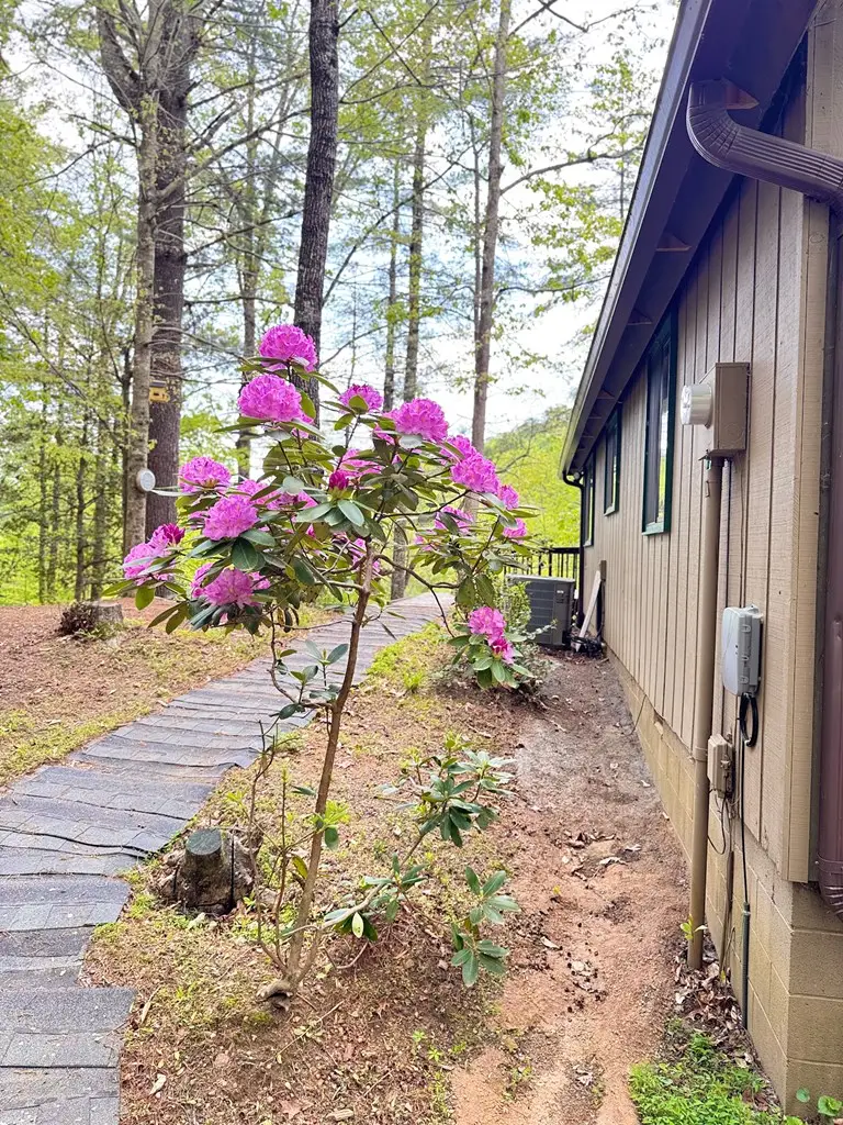144 Mission Dam Road, Hayesville, NC 28904 - Image #3
