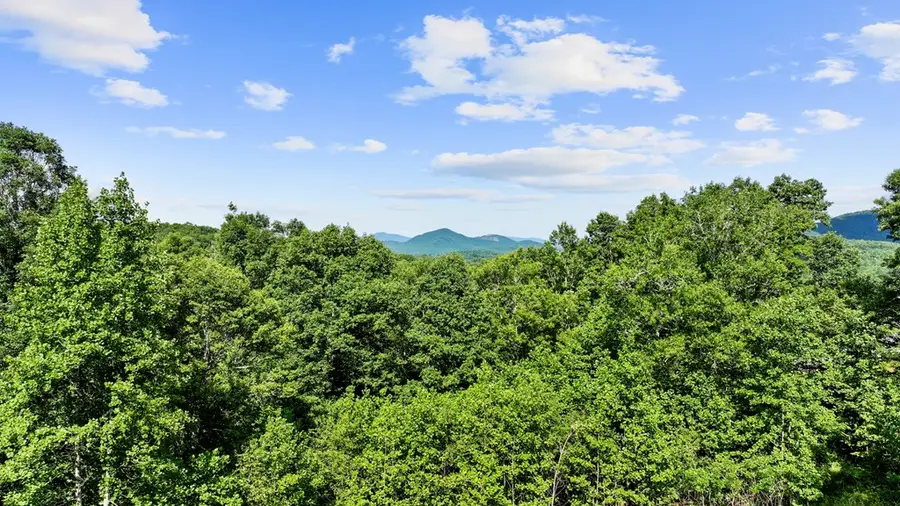 120 Brannon Ridge Res, Ivylog, GA 30852 - Image #2