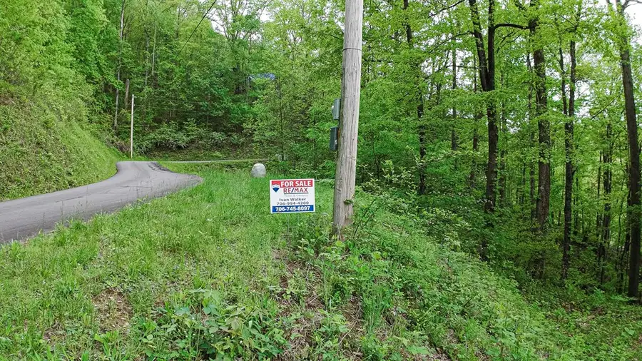 Lot 119 Outlook Road, Murphy, NC 28906 - #3