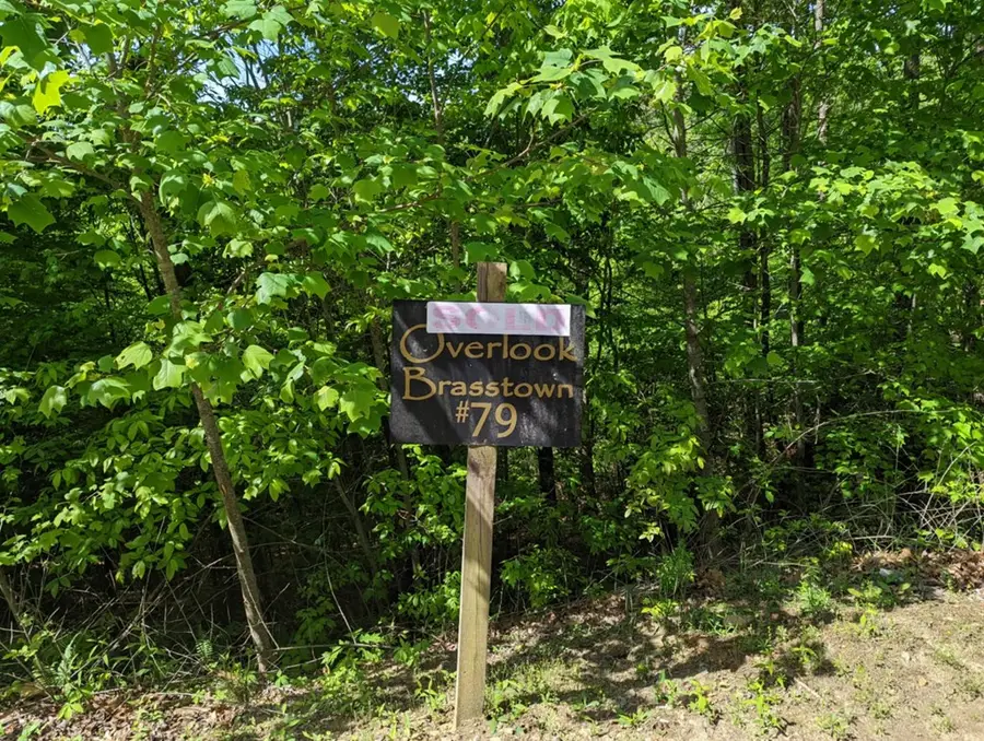 TBD Heritage Trail, Brasstown, NC 28902 - Image #3