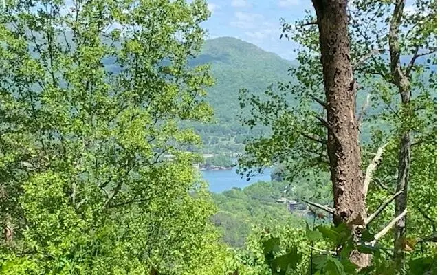 Lot 8 Hidden Summit Road, Hiawassee, GA 30546 - Image #1