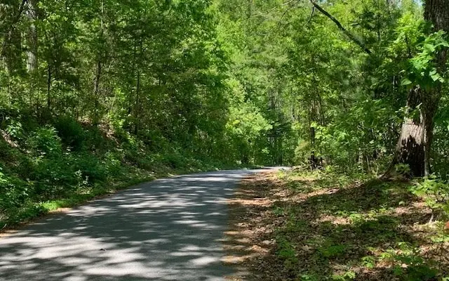 Lot 8 Hidden Summit Road, Hiawassee, GA 30546 - Image #3