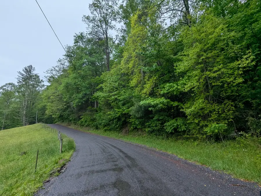 Address Withheld By Seller, Ellijay, GA 30536 - #2