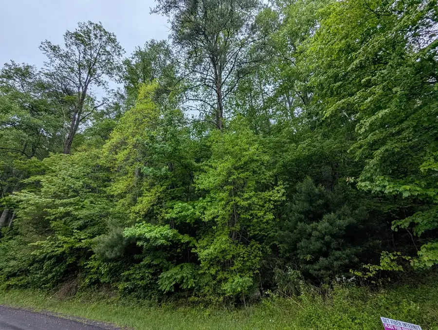 Address Withheld By Seller, Ellijay, GA 30536 - #3