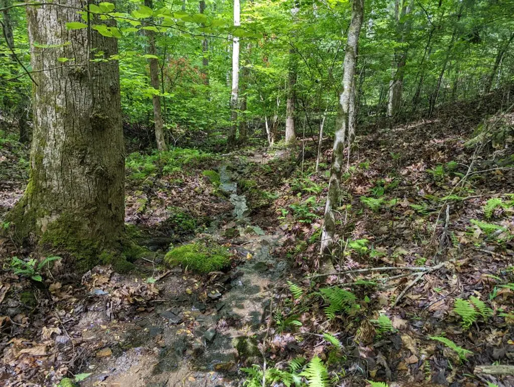 TBD Heritage Trail, Brasstown, NC 28902 - Image #1