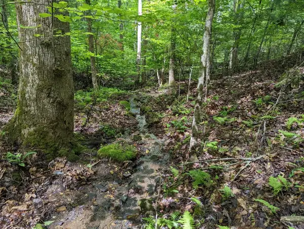 TBD Heritage Trail, Brasstown, NC 28902