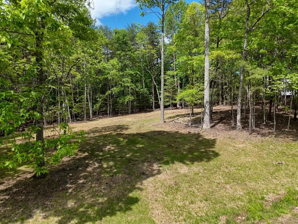 0 The Landing, Blairsville, GA 30512 - Image #1